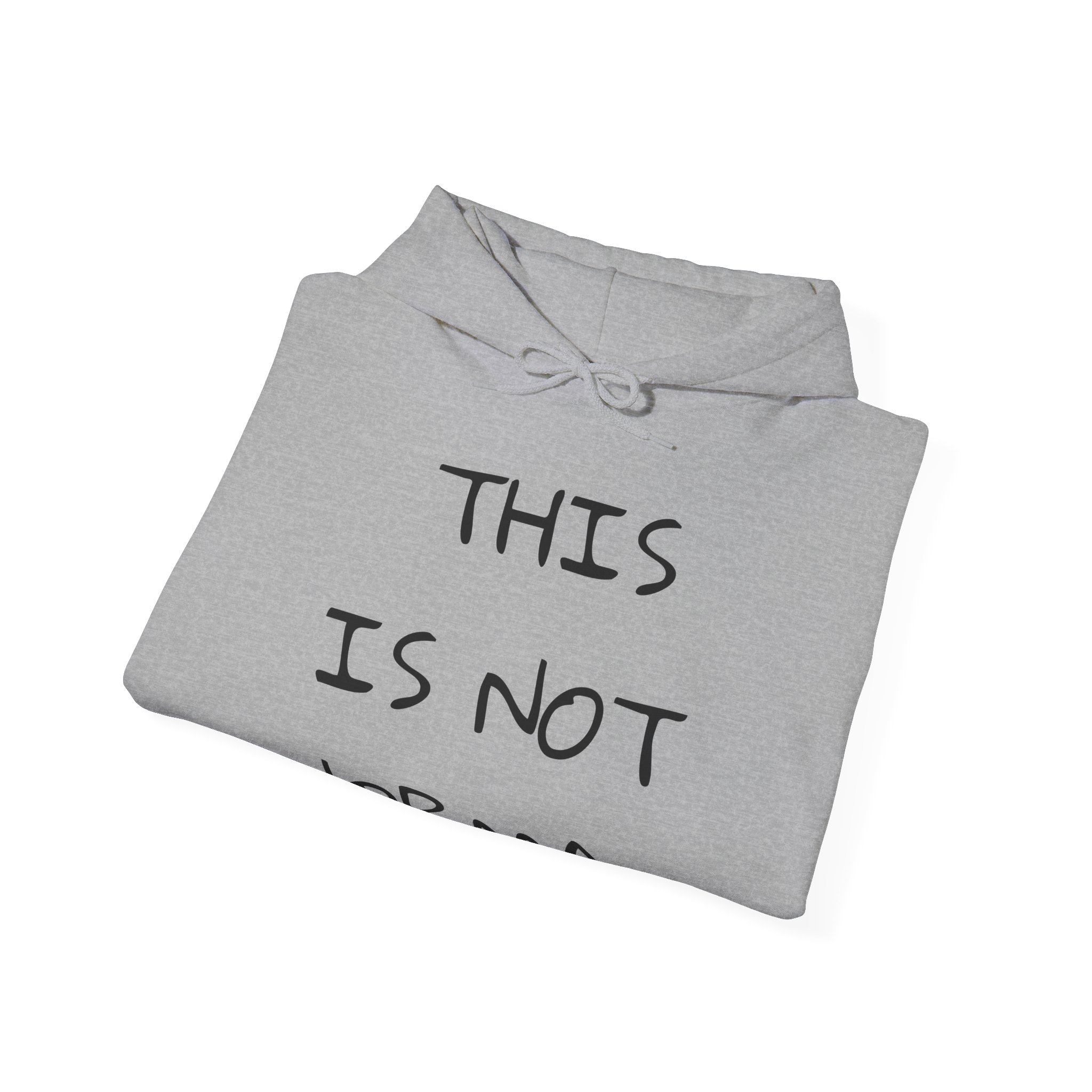 THIS IS NOT NORMAL Unisex Hooded Sweatshirt - Image 12
