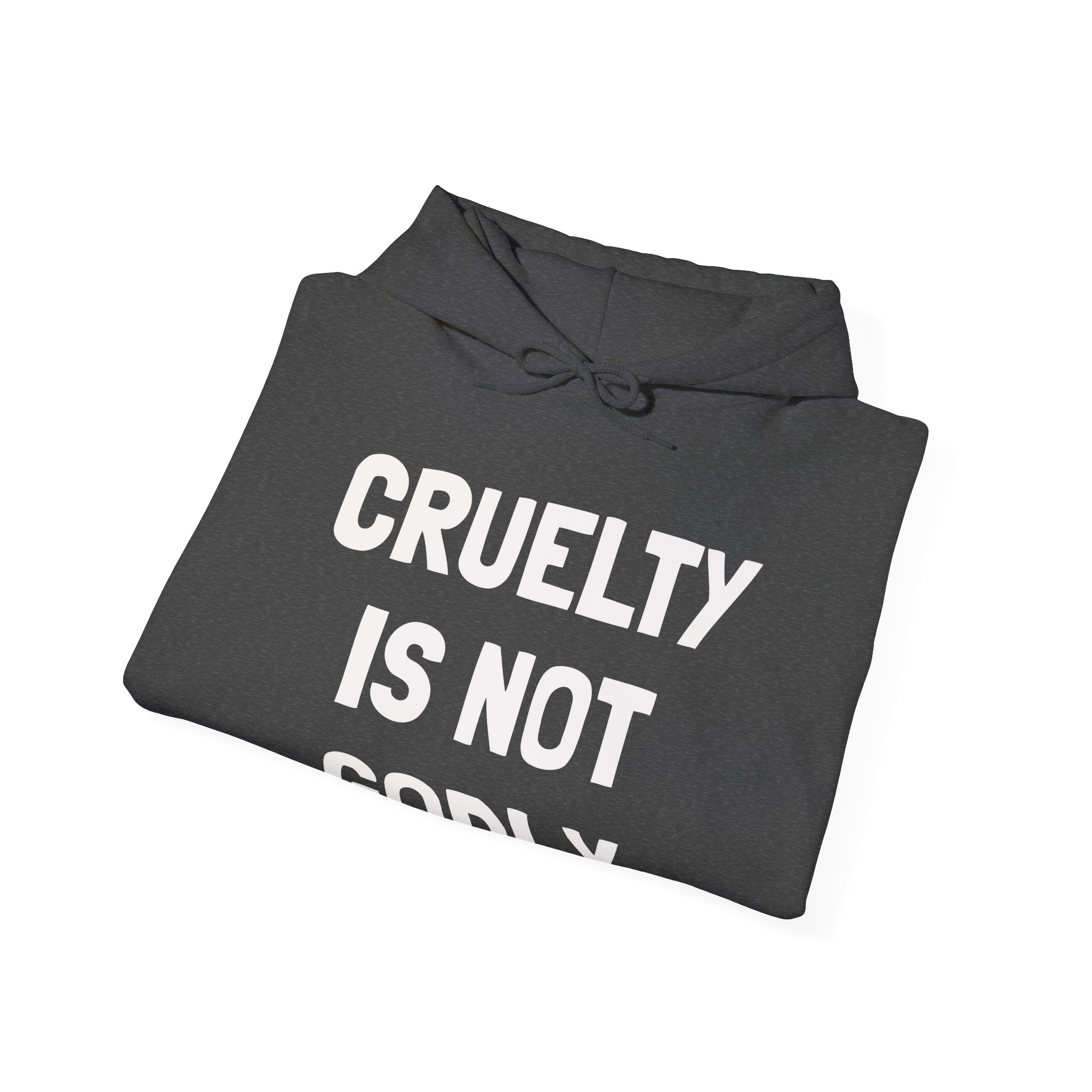 CRUELTY IS NOT GODLY Unisex Hooded Sweatshirt - Image 8