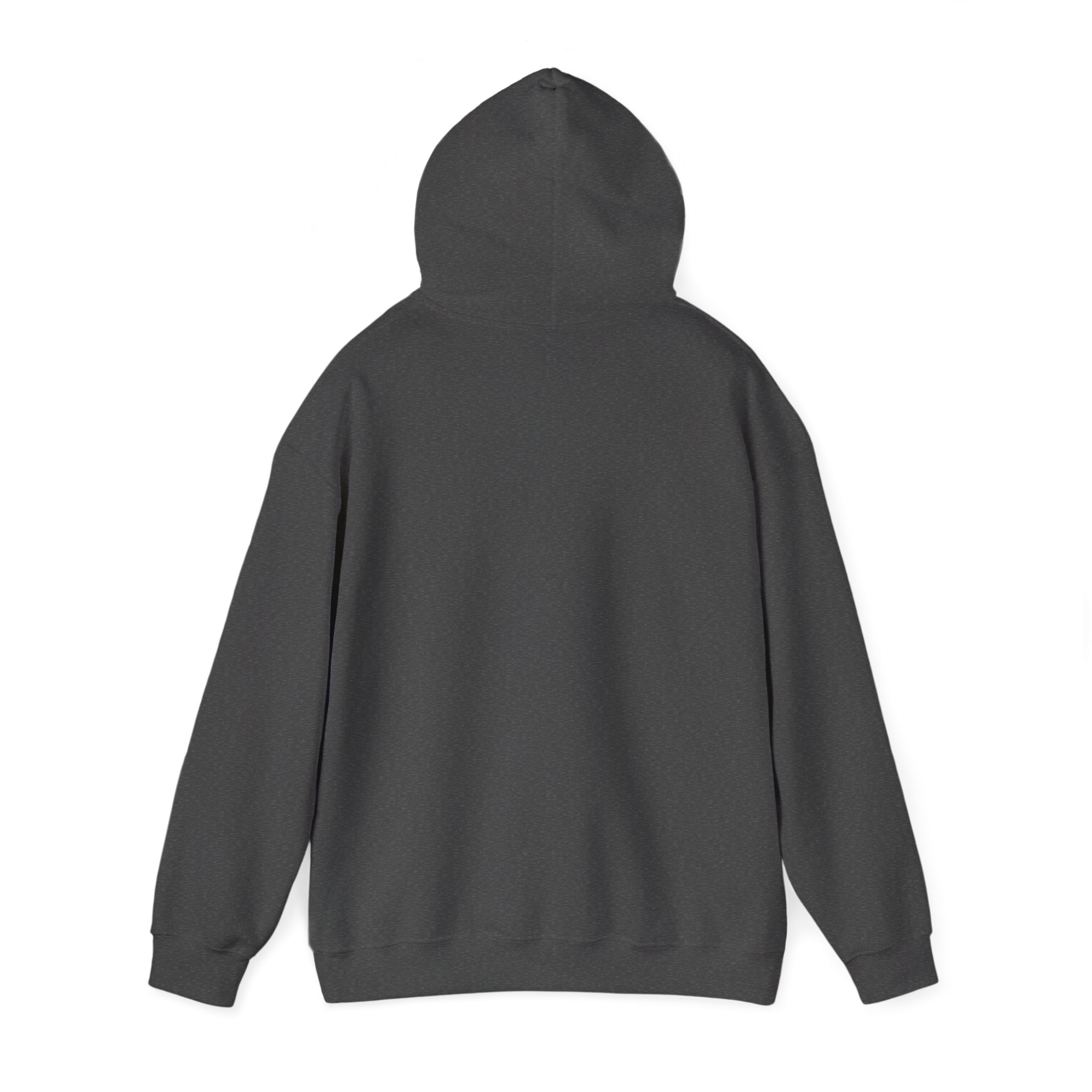 HUMAN RIGHTS DIGNITY Unisex Hooded Sweatshirt - Image 15