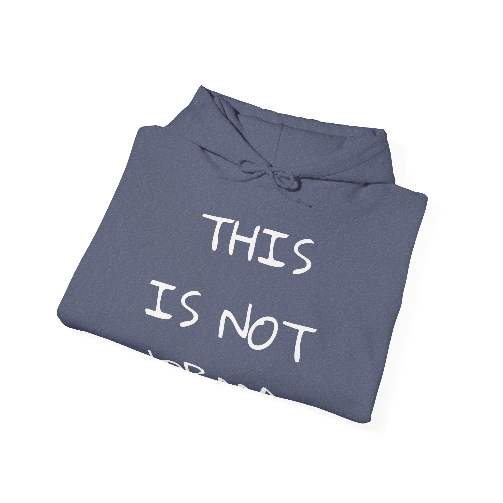 THIS IS NOT NORMAL Unisex Hooded Sweatshirt - Image 16