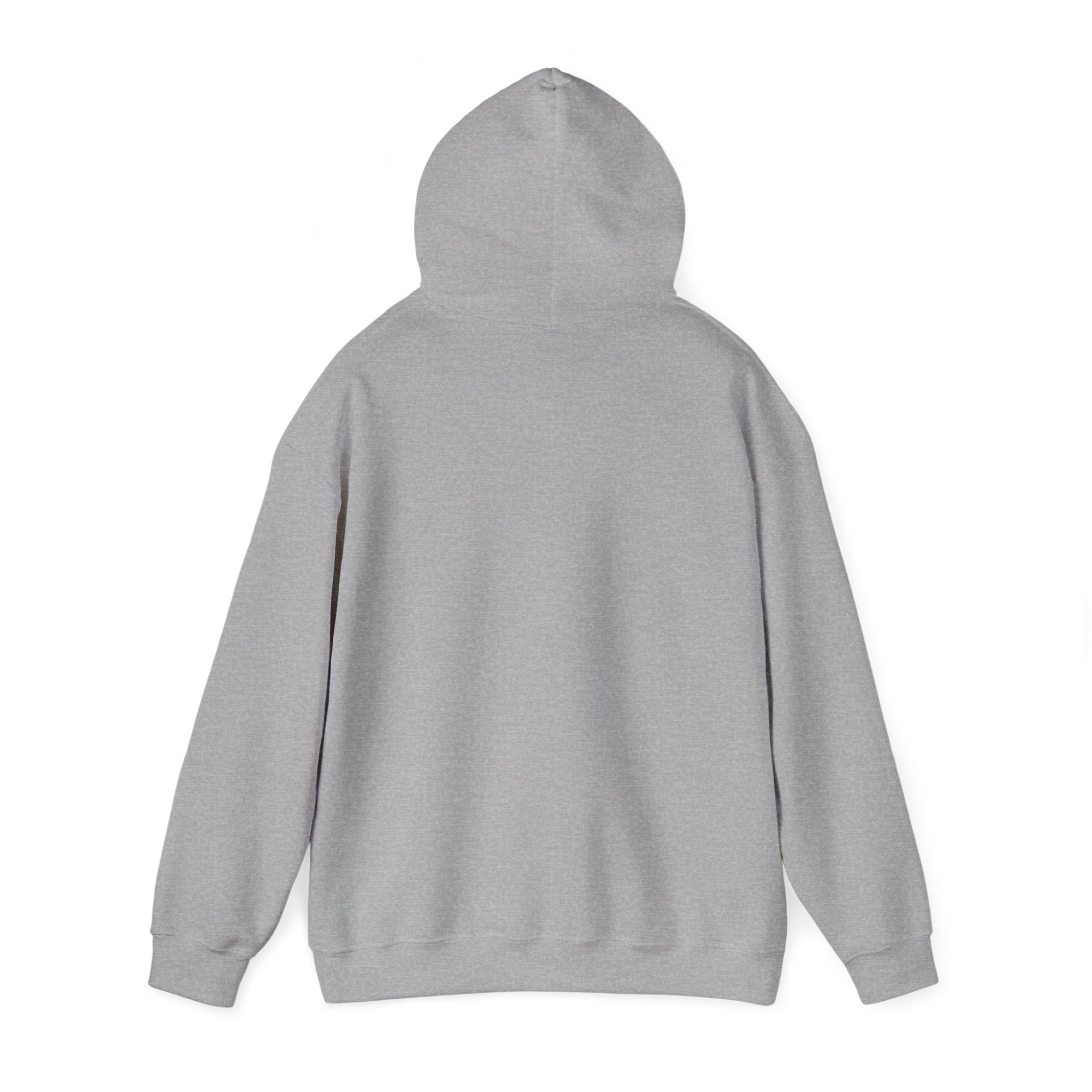 THIS IS NOT NORMAL Unisex Hooded Sweatshirt - Image 11