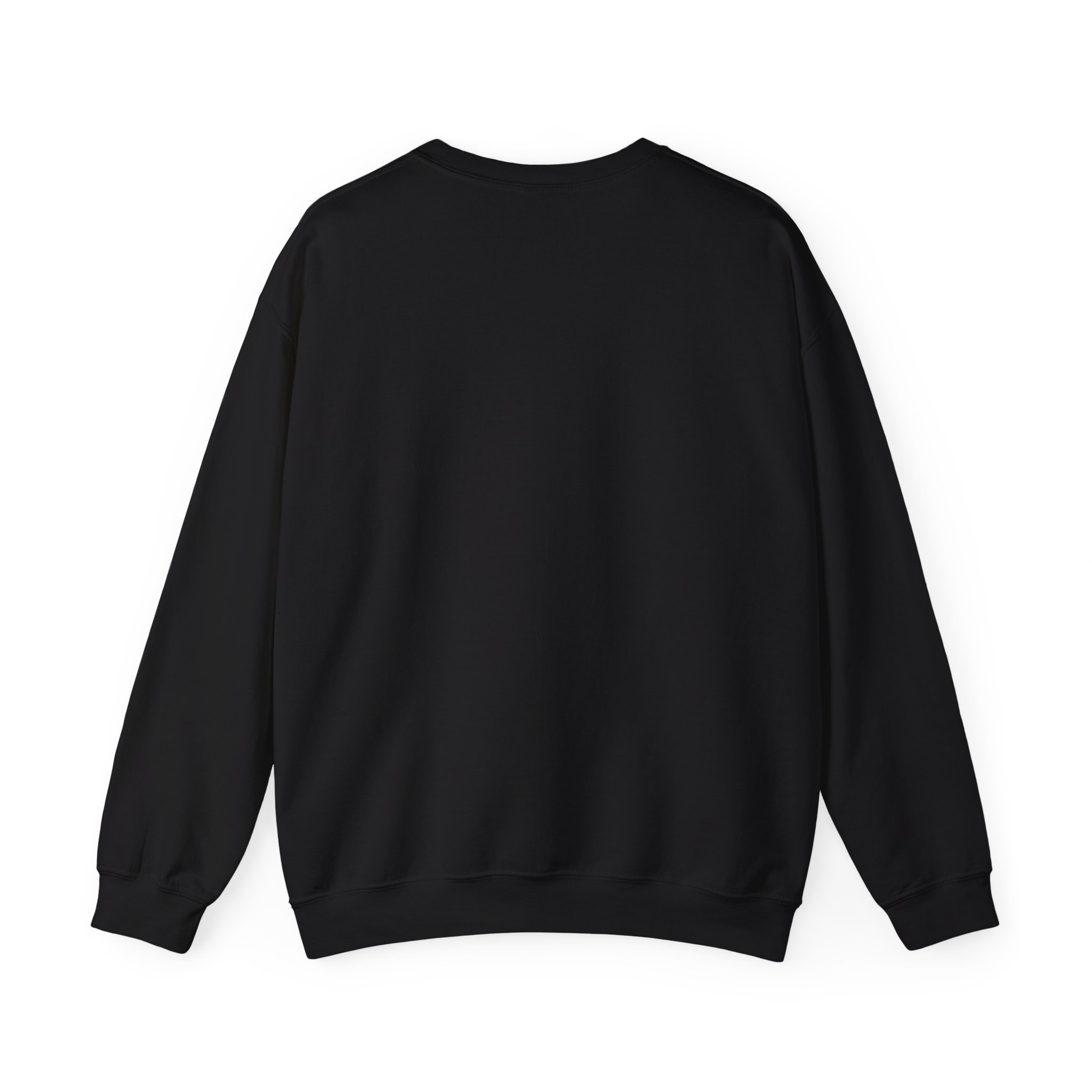HUMAN RIGHTS DIGNITY Sweatshirt - Image 2