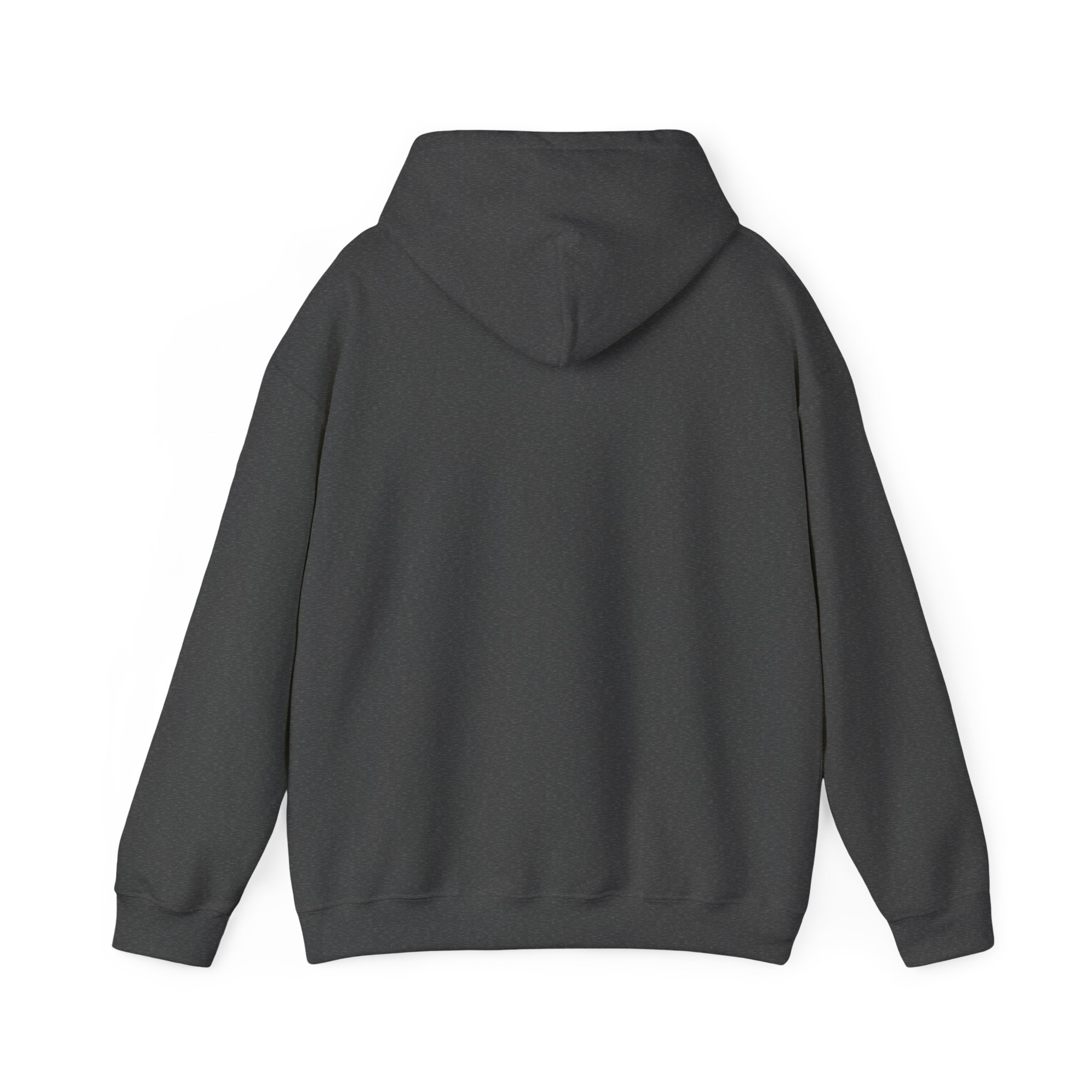 THIS IS NOT NORMAL Unisex Hooded Sweatshirt - Image 6